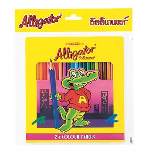 ดินสอสีไม้ ตราอัลลิเกเตอร์ Alligator 24 สี