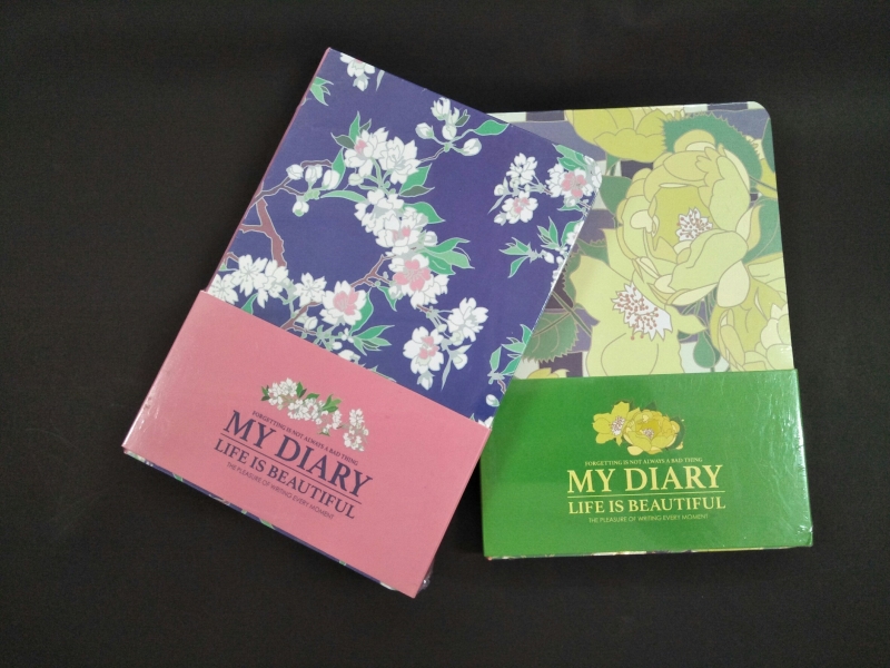 สมุด Mayflower บันทึกลายแฟนซี My Diary CNF1